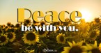 A Prayer for the Peace of Christ - Your Daily Prayer - August 24