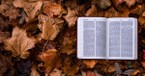 10 Bible Verses to Combat Seasonal Depression