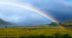 What Is the Meaning of the Rainbow in the Bible?