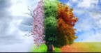What Is the Significance of the Four Seasons in the Bible?