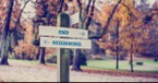 In the Beginning… - The Crosswalk Devotional - October 11