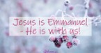 Emmanuel, He Is With Us - iBelieve Truth: A Devotional for Women - December 26