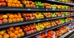 Socialist Bodegas