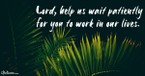A Prayer for Patience as You Wait on the Lord - Your Daily Prayer - February 15