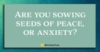 Anxiety or Peace: What We Feed Will Grow - (Philippians 4:6-7) - Your Daily Bible Verse - March 25