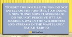 Forget the Former Things (Isaiah 43:18-19) - Your Daily Bible Verse - March 28