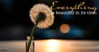 A Prayer to Remember God Makes Everything Beautiful - Your Daily Prayer - June 10
