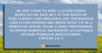 What Does It Mean to be Living Stones? - Your Daily Bible Verse - July 31