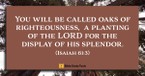 Biblical Ways to Combat Anxiety and Depression (Isaiah 61:3b)  - Your Daily Bible Verse - August 6