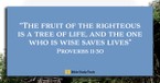 The Key to Living Wisely (Proverbs 11:30) - Your Daily Bible Verse - August 28