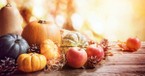 6 Thanksgiving Place Settings at Your Table
