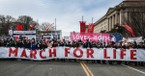 Making the Case for Life