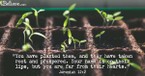 A Prayer for Growth During Trials - Your Daily Prayer - May 11