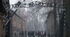 Holocaust Remembrance Day and the Fight against Antisemitism