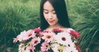 How Springtime Flowers Teach Us (Matthew 6:28–29) - Your Daily Bible Verse - May 3