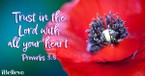 A Prayer to Forsake Following Your Heart - Your Daily Prayer - July 29