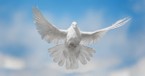 What Does it Mean to 'Grieve the Holy Spirit'?