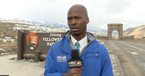 NBC News Reporter Spots a Herd of Bison Headed His Way and His Reaction is Priceless