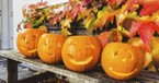 Overcoming Darkness: How Christians Can Shine God’s Light This Halloween