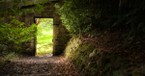 What Does Jesus Mean by ‘The Gate Is Narrow and the Way Is Hard’?
