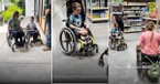 Little Boy in Wheelchair Befriends Stranger in Store after She Teaches Him to Do Wheelies