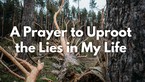 A Prayer to Uproot the Lies in My Life