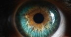 The Lord Has His Eye on You (Psalm 102:19) - Your Daily Bible Verse - June 13