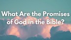 What Are the Promises of God in the Bible?