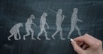 The Missing Links in Evolution and the Case for a Creator