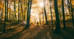 When the Seasons Shift Learning to Trust Gods Plan for Change