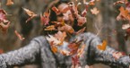 Experience the Peace of Autumn through These 7 Prayers