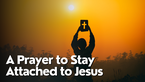 A Prayer to Stay Attached to Jesus | Your Daily Prayer