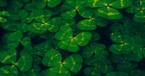 10 St. Patrick's Day Quotes and Blessings 