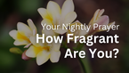 How Fragrant Are You? | Your Nightly Prayer