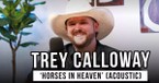 Trey Calloway | 'Horses In Heaven' (acoustic)