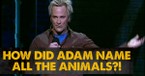 Brad Stine’s Hysterical Take on Adam Naming the Animals Is Pure Gold