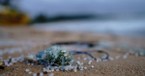 The Microplastic Crisis and the Challenge of Stewarding a Polluted World Well