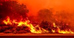 What Wildfires Reveal about Human Limits and Trusting God