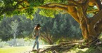 6 Trees in the Bible That Point Us to God's Justice, Mercy, and Eternal Life
