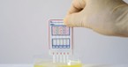 Teaching the Next Generations Integrity Behind Substance Testing
