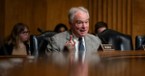 Where Do Human Rights Come from, Senator?