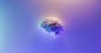 Modern Science Backs Gospel Truth That We Are Created for Community