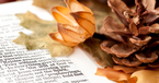 7 Ways Nature Reveals God’s Faithfulness in Autumn (with Bible Verses)
