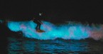 The Mystery of Bioluminescent Waves and What it Teaches Us about God's Design