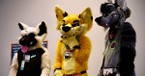 Furry Subculture and What the Bible Says about Hiding and Being Fully Known