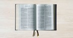  7 Surprising Facts about the Book of Ezekiel 