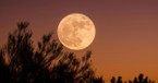 November’s Super Beaver Moon Shines a Light on What Matters Most