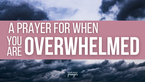 A Prayer for When You Are Overwhelmed by Suffering in the World | Your Daily Prayer