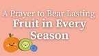 A Prayer to Bear Lasting Fruit in Every Season | Your Daily Prayer