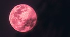 What Is the Paschal (Pink) Moon and What Does It Have to Do with Easter?